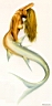 SORA014.JPG